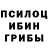 Галлюциногенные грибы мицелий Jaradon Wigington